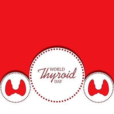 EPS 해외이미지 교육 포스터 캠페인 신체 일러스트 부분 해부 청진기 그래프 건강 사람 세계 오르간 맥박 질병 5월 심볼 사인 그림 생물학 싸움 시스템 목 돌봄 보컬 연골 해외202004 해외일러스트 의학 의료기기 모션 신체부위 날짜 건반악기 파일형식 벡터 이미지허브