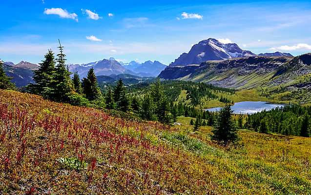 포토 JPG 해외이미지 나무 구름 공원 도로 호수 여행 캐나다 자연 산 파노라마 풍경 사람없음 야외 여름 파란색 반사 평화 계곡 거울 하이킹 황무지 언덕 피라미드 암초 내추럴 밴프 앨버타 웅장함 전국 절정 로키산맥 해외202004 해외포토 자연요소 식물 건축물 계절 공공시설 길 컬러 컨셉 북아메리카 교통시설 레저 촬영기법 생태계 랜드마크 파일형식 이미지허브