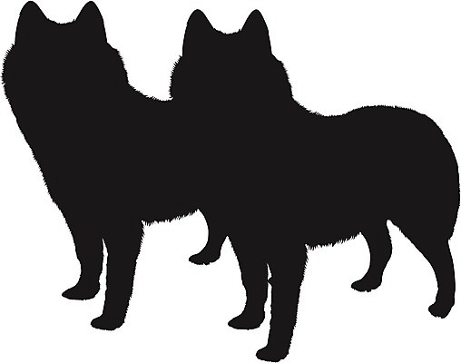 EPS 해외이미지 클립아트 동물 한마리 디자인 행복 실루엣 일러스트 컴퓨터그래픽 반려동물 컬러풀 머리 환경 검은색 가축 흰색 개 리트리버 강아지 시원함 만화 자르기 래브라도리트리버 가득함 심볼 서비스 그림 송곳니 고립 깊이 오해 강조 해외202004 해외일러스트 1 감정 컬러 포유류 모션 촬영기법 신체부위 그래픽 치아 파일형식 벡터 이미지허브