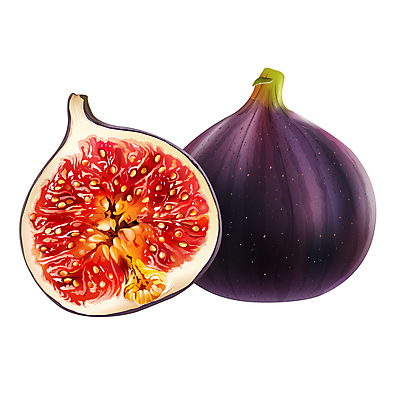 포토 JPG 해외이미지 과일 일러스트 사람없음 무화과 해외202004 해외포토 파일형식 이미지허브