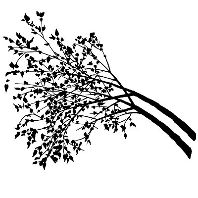 EPS 해외이미지 클립아트 나무 식물 디자인 실루엣 줄기 낙엽 잎 일러스트 자연 나뭇가지 자르기 해외202004 해외일러스트 모션 촬영기법 생태계 파일형식 벡터 이미지허브