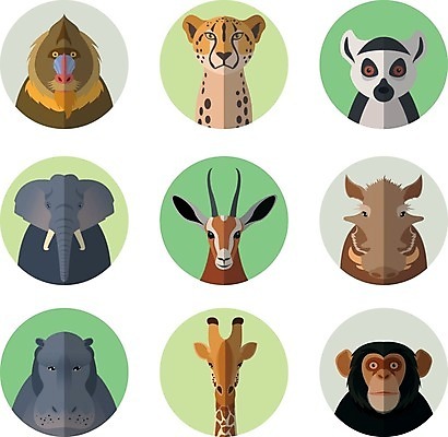 EPS 해외이미지 동물 여러마리 일러스트 코끼리 사람없음 세트 머리 원숭이 기린 하마 치타 멧돼지 가젤 알락꼬리여우원숭이 해외202004 해외일러스트 다수 포유류 신체부위 파일형식 벡터 이미지허브