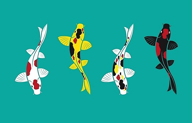 EPS 해외이미지 동물 템플릿 전통 디자인 실루엣 문화 선 백그라운드 패턴 일러스트 캘리그라피 자연 추상 잉크 어류 미술 동양인 그래픽 빨간색 물 파란색 노란색 일본 검은색 수영 중국 흰색 문신 심볼 그림 심플 윤곽 물고기자리 잉어 고립 스타일 해외202004 해외일러스트 자연요소 아시아 컬러 무늬 문화예술 촬영기법 인종 수중동물 별자리 수상스포츠 생태계 파일형식 벡터 이미지허브