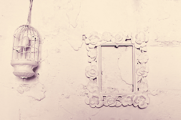 포토 JPG 해외이미지 식물 디자인 실루엣 종이 야생동물 벽 결혼 백그라운드 패턴 자연 벽지 조류 추상 프레임 사랑 미술 사람없음 장식 정원 검은색 봄 수확 흰색 직물 바 숲 인쇄 시원함 탈출 철 타일 언덕 질감 복고 보안 초대 새장 단절 포장소품 해외202004 해외포토 동물 계절 감정 컬러 컨셉 무늬 농업 포장 문화예술 촬영기법 안전 이벤트 오브젝트 생태계 케이지 포장재료 파일형식 이미지허브