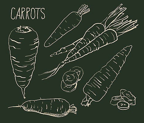 EPS 해외이미지 모양 식물 헤어스타일 디자인 실루엣 선 음식 백그라운드 컨셉 잎 패턴 채소 일러스트 텍스트 자연 미술 그래픽 여름 세트 라벨 당근 수확 성장 가을 그룹 낙서 그래피티 정상 인쇄 만화 스케치 사인 그림 복고 클립 심플 윤곽 고립 엘리먼트 해외202004 해외일러스트 계절 무늬 농업 문화예술 뿌리채소 프레임 촬영기법 생태계 파일형식 벡터 이미지허브