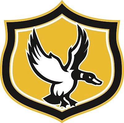 EPS 해외이미지 동물 야생동물 날개 일러스트 오리 그래픽 땅 복고 방패 물새 청둥오리 고립 착륙 해외202004 해외일러스트 조류 파일형식 벡터 이미지허브