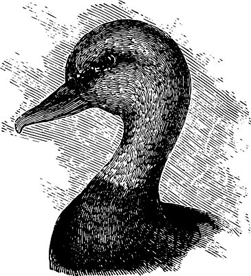 EPS 해외이미지 선 신체 일러스트 미술 검은색 수확 흰색 작음 그림 목 판화 빨간머리 해외202004 해외일러스트 헤어스타일 컬러 농업 문화예술 신체부위 크기 파일형식 벡터 이미지허브