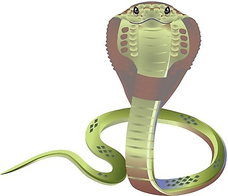EPS 해외이미지 일러스트 갈색 뱀 만화 고립 해외202004 해외일러스트 컬러 파충류 파일형식 벡터 이미지허브