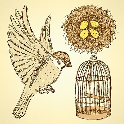 EPS 해외이미지 식물 손 야생동물 백그라운드 패턴 날개 일러스트 자연 조류 발렌타인데이 미술 그래픽 여름 세트 컬러풀 연필 페인트 봄 자유 수확 나뭇가지 화려 그리기 둥지 스케치 감옥 타일 그림 복고 생물학 부리 참새 새장 양귀비 꿀 고립 동물상 옛날 특별함 현실 해외202004 해외일러스트 나무 동물 계절 교육 꽃 컬러 컨셉 무늬 농업 모션 데이이벤트 문화예술 학용품 신체부위 필기구 조형물 생태계 케이지 파일형식 벡터 이미지허브