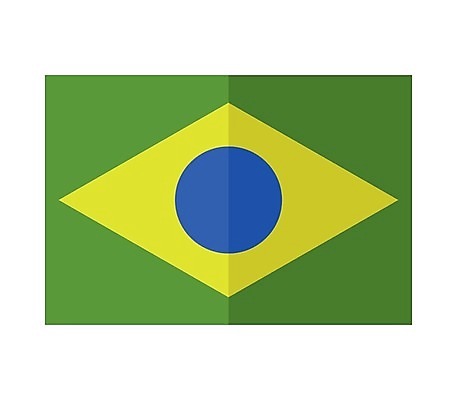 EPS 해외이미지 교육 문화 여행 백그라운드 컨셉 일러스트 비즈니스 휴가 세계 자유 축하 깃발 남아메리카 역사 닫기 땅 투표 선거 심볼 사인 대륙 브라질 잭 애국심 구성 대통령 독립 리우데자네이루 오리지널 전국 정부 정치 통일 브라질사람 해외202004 해외일러스트 모션 아메리카 민주주의 파일형식 벡터 이미지허브