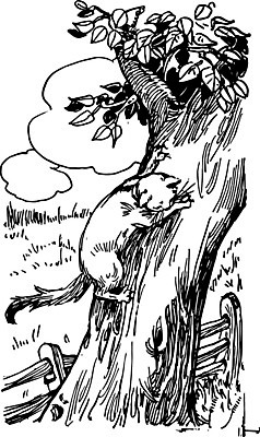 EPS 해외이미지 나무 구름 한마리 일러스트 나뭇잎 초원 사람없음 울타리 검은색 고양이 라인아트 그림 오르기 판화 내려보기 해외202004 해외일러스트 자연요소 식물 1 선 컬러 잎 포유류 모션 미술 담장 반려동물 파일형식 벡터 이미지허브