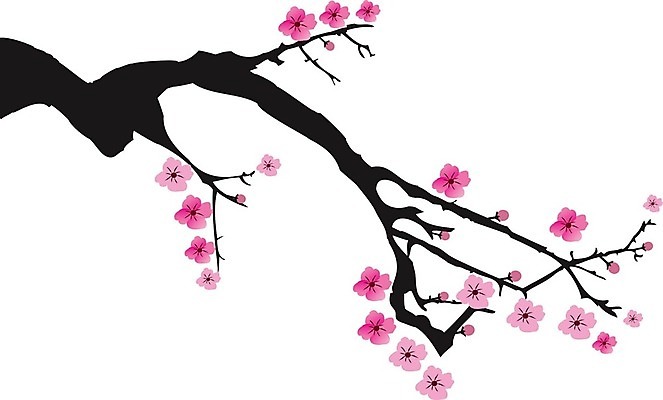 EPS 해외이미지 나무 식물 전통 디자인 계절 꽃잎 꽃 실루엣 줄기 분홍색 백그라운드 잎 꽃무늬 패턴 일러스트 자연 추상 미술 풍경 그래픽 장식 여름 유행 정원 봄 벚꽃 흰색 나뭇가지 개화 체리 우아함 연도 해외202004 해외일러스트 컬러 컨셉 무늬 과일 문화예술 촬영기법 생태계 파일형식 벡터 이미지허브