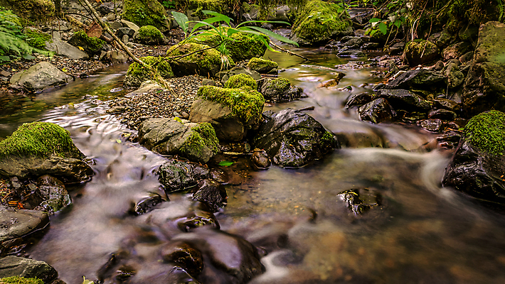 포토 JPG 해외이미지 공원 여행 백그라운드 잎 자연 벽지 산 이끼 풍경 사람없음 목재 초록색 물 환경 골짜기 폭포 가을 흰색 신선 개울 숲 내추럴 해외202004 해외포토 자연요소 나무 식물 계절 공공시설 컬러 재료 강 생태계 파일형식 이미지허브