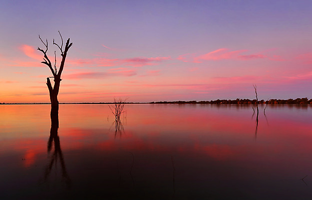 포토 JPG 해외이미지 나무 구름 웰빙 실루엣 호수 분홍색 여행 자연 하늘 휴가 휴식 건강 풍경 사람없음 빨간색 파란색 반사 노란색 황혼 일몰 놀람 죽음 호주 잔물결 해외202004 해외포토 자연요소 식물 감정 물결 컬러 컨셉 촬영기법 표정 노을 오세아니아 생태계 파일형식 이미지허브