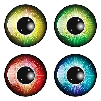 EPS 해외이미지 클립아트 모양 템플릿 학생 디자인 응시 컨셉 오렌지 일러스트 사람 빨간색 초록색 파란색 반사 할로윈 원형 눈동자 만화 심볼 오브젝트 흰배경 그림 질감 시력 비전 붓꽃 개암나무 고립 엘리먼트 해외202004 해외일러스트 도형 나무 시선 꽃 컬러 백그라운드 과일 흰색 눈_신체부위 파일형식 벡터 이미지허브