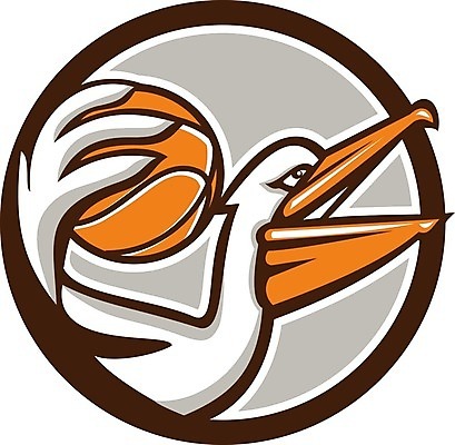 EPS 해외이미지 일러스트 조류 농구 그래픽 머리 잡기 원형 펠리컨 복고 부리 물새 계산서 해외202004 해외일러스트 도형 동물 모션 신체부위 구기 파일형식 벡터 이미지허브