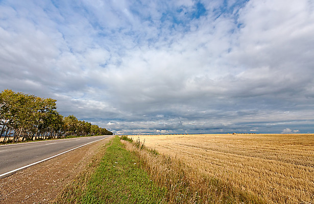 포토 JPG 해외이미지 나무 구름 계절 도로 밭 자동차 자연 하늘 날씨 해바라기 풍경 사람없음 야외 여름 숲 그림 러시아 수평선 해외202004 해외포토 자연요소 식물 꽃 유럽 길 육상교통 농업 교통시설 생태계 파일형식 이미지허브