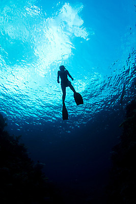 포토 JPG 해외이미지 실루엣 스포츠 바다 섬 백그라운드 자연 휴가 건강 사람 사람없음 파란색 비키니 태양 수영 스노클링 중앙아메리카 잠수부 수영선수 암초 온두라스 해외202004 해외포토 자연요소 수영복 컬러 운동선수 촬영기법 아메리카 수상스포츠 전문직 생태계 파일형식 이미지허브