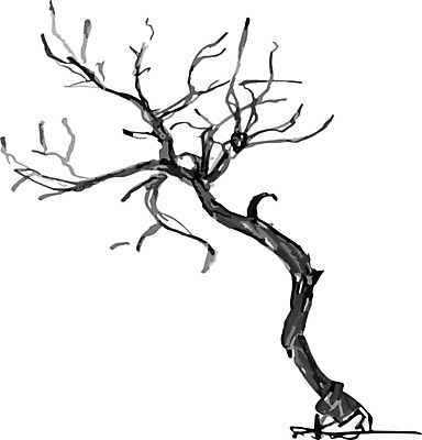 EPS 해외이미지 나무 식물 손 디자인 계절 선 줄기 겨울 일러스트 자연 잉크 미술 목재 그래픽 장식 여름 환경 정원 검은색 봄 수확 가을 흰색 나뭇가지 낙서 숲 스케치 그림 복고 윤곽 손그림 고립 생태학 해외202004 해외일러스트 교육 컬러 농업 재료 문화예술 신체부위 생태계 파일형식 벡터 이미지허브