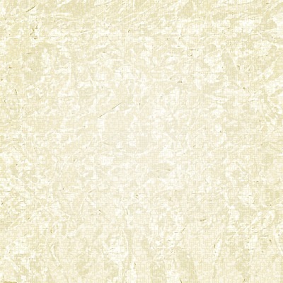 EPS 해외이미지 디자인 종이 백그라운드 패턴 일러스트 표면 추상 미술 갈색 공백 손상 수확 흰색 거친 묘사 유기농 질감 복고 먼지 페이지 한조각 구김 그런지 스크랩북 해외202004 해외일러스트 1 웰빙 컬러 컨셉 무늬 농업 모션 문화예술 파일형식 벡터 이미지허브