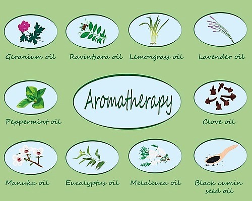 EPS 해외이미지 식물 디자인 꽃 잎 꽃무늬 일러스트 건강 씨앗 치료 초록색 세트 약 라벨 화장품 상품 약국 수집 허브 향신료 그림 유기농 향기 아로마 침엽수 성분 아로마테라피 내추럴 보충 바이오 유칼립투스 제라늄 채식주의자 해외202004 해외일러스트 나무 웰빙 컬러 무늬 의학 프레임 뷰티 채식 냄새 테라피 향미료 파일형식 벡터 이미지허브