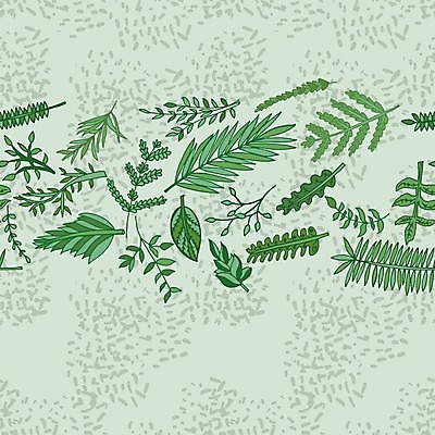 EPS 해외이미지 식물 손 디자인 음식 잎 패턴 일러스트 재료 미술 초록색 세트 흰색 나뭇가지 신선 스케치 수집 허브 향신료 그림 유기농 아로마 로즈메리 내추럴 고립 백리향 엘리먼트 해외202004 해외일러스트 나무 웰빙 컬러 무늬 문화예술 신체부위 향미료 파일형식 벡터 이미지허브