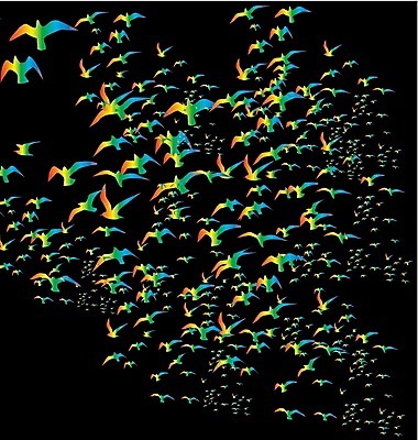 EPS 해외이미지 모양 동물 계절 실루엣 야생동물 날개 일러스트 가족 자연 갈매기 조류 하늘 휴가 휴식 종류 그림자 야외 여름 세트 자유 그리기 그룹 공작 숲 왜가리 문신 심볼 깃털 비둘기 앵무새 윤곽 독수리 철사 까마귀 해외202004 해외일러스트 컨셉 관계 모션 촬영기법 생태계 파일형식 벡터 이미지허브