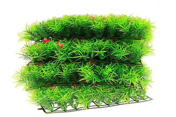 포토 JPG 해외이미지 식물 꽃 조각 백그라운드 패턴 밭 부분 자연 실내 사람없음 장식 빨간색 초록색 쌓기 흰색 4 닫기 작음 질감 정사각형 층 내추럴 고립 인공 해외202004 해외포토 도형 컬러 무늬 농업 모션 내부 숫자 크기 생태계 파일형식 이미지허브