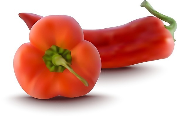 EPS 해외이미지 클립아트 음식 줄기 농업 다이어트 채소 일러스트 재료 자연 고추 파프리카 건강 요리 빨간색 빛 농장 식사 저녁식사 종 흰색 신선 뜨거움 양념 달콤 맛 먹기 향신료 상쾌 유기농 후추 내추럴 고립 숙성 식욕 채식주의자 해외202004 해외일러스트 식물 웰빙 감정 산업 컬러 컨셉 모션 생태계 채식 향미료 파일형식 벡터 이미지허브