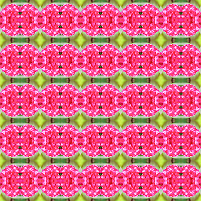 포토 JPG 해외이미지 식물 꽃 분홍색 백그라운드 패턴 자연 벽지 추상 사람없음 컬러풀 해외202004 해외포토 컬러 무늬 생태계 파일형식 이미지허브