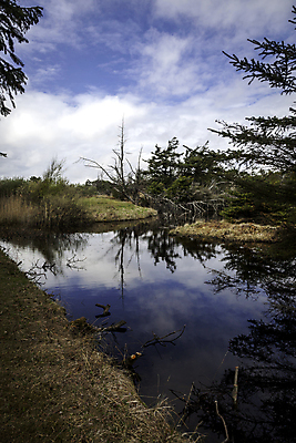 포토 JPG 해외이미지 구름 계절 유럽 바다 자연 하늘 바람 날씨 덴마크 풍경 사람없음 야외 맑음 흰색 황무지 모래언덕 언덕 해외202004 해외포토 자연요소 나라 컬러 북유럽 생태계 파일형식 이미지허브