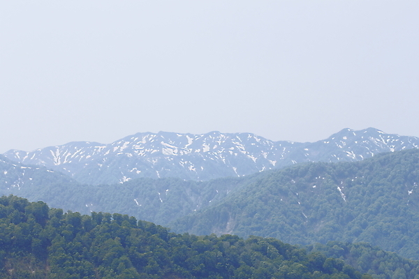 포토 JPG 해외이미지 나무 식물 하늘색 자연 사람없음 파란색 빛 일본 세계문화유산 숲 신비 시력 장면 해외202004 해외포토 아시아 컬러 컨셉 문화재 생태계 파일형식 이미지허브