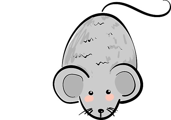 EPS 해외이미지 모양 행복 백그라운드 신체 일러스트 수염 표정 세트 검은색 회색 흰색 쥐 큼 만화 그림 꼬리 귀 주둥이 고립 스카우트 해외202004 해외일러스트 감정 컬러 신체부위 설치류 크기 파일형식 벡터 동물 사람 이미지허브