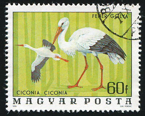 포토 JPG 해외이미지 야생동물 조류 사람없음 빈티지 왜가리 우표 헝가리 양발 해외202004 해외포토 동물 컨셉 동유럽 파일형식 이미지허브