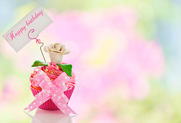 포토 JPG 해외이미지 사람없음 달콤 컵케이크 분홍색배경 해외202004 해외포토 분홍색 백그라운드 케이크 맛 파일형식 이미지허브