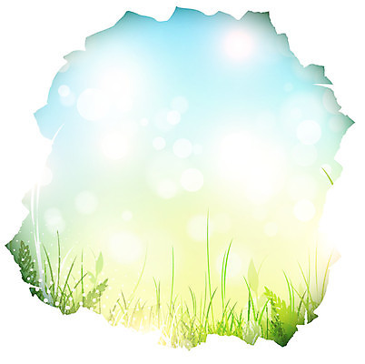 EPS 해외이미지 식물 템플릿 디자인 종이 백그라운드 컨셉 잎 꽃무늬 밭 일러스트 자연 추상 아이디어 프레임 실내 장식 초록색 여름 화목 봄 손상 오픈 구멍 균열 가장자리 쇼 찢어짐 내추럴 단절 양치류 카피스페이스 해외202004 해외일러스트 계절 꽃 컬러 무늬 농업 모션 내부 공백 둘레 생태계 파일형식 벡터 이미지허브