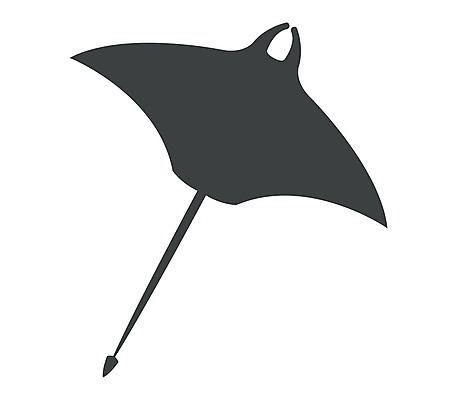 EPS 해외이미지 동물 캐릭터 야생동물 어린이 바다 패턴 일러스트 자연 낚시 추상 어류 소년 장식 물 여름 반려동물 광선 아기 만화 그림 수족관 고립 동물상 소금물 이국적 해외202004 해외일러스트 일러캐릭터 자연요소 계절 남자 무늬 레저 사람 조형물 수중동물 생태계 파일형식 벡터 미술 문화예술 이미지허브