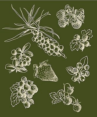 EPS 해외이미지 식물 디자인 계절 열매 음식 백그라운드 잎 다이어트 과일 일러스트 자연 건강 요리 초록색 물 여름 컬러풀 정원 주스 수확 신선 시장 달콤 맛 떨어짐 낙서 잼 스케치 오브젝트 메뉴 그림 유기농 슈퍼마켓 내추럴 채식주의자 해외202004 해외일러스트 자연요소 웰빙 음료 컬러 컨셉 농업 미술 상점 소스_음식 생태계 채식 파일형식 벡터 이미지허브