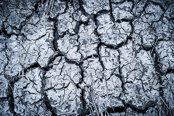 포토 JPG 해외이미지 식물 지구 조각 백그라운드 패턴 일러스트 자연 벽지 표면 날씨 추상 건조 풍경 사람없음 야외 그래픽 글로벌 환경 검은색 어둠 손상 사막 흰색 죽음 뜨거움 균열 땅 질감 찢어짐 다리찢기 내추럴 그런지 깨짐 땅바닥 재앙 지진 지질학 효과 해외202004 해외포토 교육 컬러 컨셉 무늬 모션 바닥 자연재해 생태계 파일형식 이미지허브