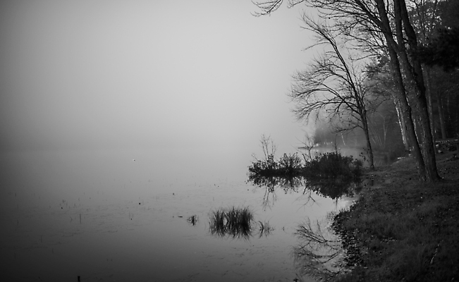 포토 JPG 해외이미지 나무 계절 실루엣 호수 낙엽 자연 아침 흑백 사람없음 야외 물 평화 일출 새벽 촉촉함 안개 가을 신선 황무지 습지 숲 시원함 11월 속도 내추럴 뿌연 삼림지대 섞기 해외202004 해외포토 주간 자연요소 식물 컨셉 잎 날씨 촬영기법 노을 젖음 날짜 생태계 파일형식 이미지허브