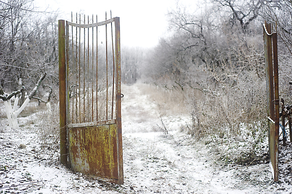 포토 JPG 해외이미지 나무 외관 공원 유럽 도로 길 겨울 건축양식 출입구 사람없음 장식 가로 울타리 문 금속 냉동 얼음 추위 흰색 시골 바 오픈 시원함 12월 철 부식 보안 대문 장면 방법 옛날 우크라이나 우화 진짜 해외202004 해외포토 자연요소 식물 계절 공공시설 건축 나라 컬러 교통시설 재질 안전 담장 날짜 파일형식 이미지허브