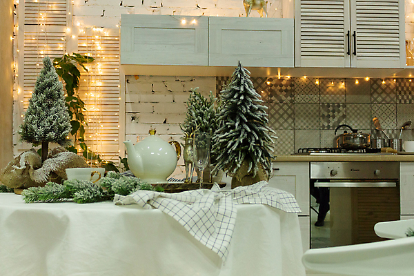 포토 JPG 해외이미지 나무 전통 라이프스타일 디자인 계절 별 음식 백그라운드 크리스마스 겨울 일러스트 탁자 휴가 전등 새로움 새해 주택 기념 실내 선물 사람없음 내부 장식 상자 크리스마스트리 주방 축제 식사 방 흰색 축하 신용카드 클래식 고급 난로 연도 심볼 리빙 스타일 해외202004 해외포토 자연요소 식물 기념일 컬러 가구 컨셉 조명 건물 생활 금융 난방기 파일형식 이미지허브