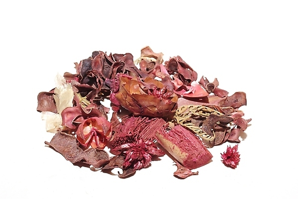 포토 JPG 해외이미지 식물 꽃잎 꽃 문화 분홍색 잎 재료 자연 건조 건강 씨앗 사람없음 빨간색 보라색 흰색 신선 양념 그룹 허브 향신료 유기농 거베라 아로마테라피 목련 고립 시나몬 줄서기 강황 해외202004 해외포토 웰빙 컬러 식재료 모션 생태계 테라피 향미료 파일형식 이미지허브