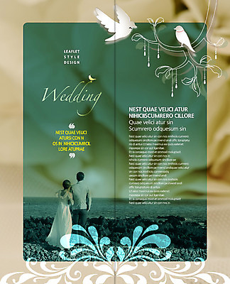 전신 PSD 동물 템플릿 편집 표지디자인 북디자인 커플 출판디자인 여자 남자 내지 신부 리플렛 바다 커플라이프 웨딩드레스 신랑 결혼 백그라운드 2단접지 북커버 조류 서기 사람 정장 턱시도 팜플렛 성인 해변 두명 뒷모습 성인만 이미지템플릿 라이프스타일 드레스 옷 뷰포인트 관계 모션 이벤트 파일형식