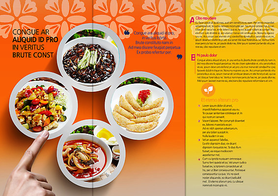 PSD 템플릿 편집 그릇 표지디자인 북디자인 손 출판디자인 내지 음식 리플렛 백그라운드 북커버 3단접지 팜플렛 신체부위 중식 요식업 짜장면 만두 단무지 탕수육 짬뽕 군만두 이미지템플릿 식기 산업 사람 파일형식