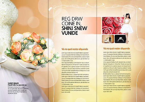 PSD 외국인 식물 템플릿 편집 표지디자인 북디자인 커플 출판디자인 여자 꽃 내지 신부 리플렛 부케 커플라이프 웨딩드레스 결혼 백그라운드 북커버 3단접지 들기 사람 동양인 팜플렛 20대 성인 두명 장미 피규어 반지 여자만 성인여자만 청년만 청년여자만 성인만 이미지템플릿 라이프스타일 드레스 꽃다발 장신구 관계 모션 인종 이벤트 청년 미니어처 파일형식