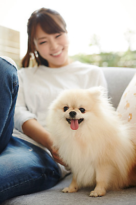 포토 JPG 한마리 우먼라이프 라이프스타일 여자 휴식 함께함 실내 한명 미소 사람 앉기 동양인 상반신 20대 성인 앞모습 아웃포커스 반려동물 소파 한국인 강아지 소통 반려 안식처 포메라니안 여자만 여자한명만 성인여자만 청년만 청년여자만 성인한명만 청년여자한명만 성인여자한명만 성인만 펫팸족 국내포토 동물 1 뷰포인트 컨셉 의자 모션 촬영기법 표정 인종 청년 내부 생활 개 신조어 파일형식