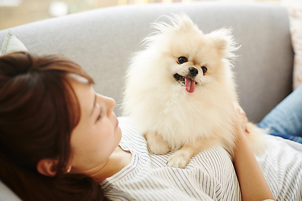 포토 JPG 한마리 우먼라이프 라이프스타일 여자 안기 포옹 휴식 함께함 실내 한명 사람 동양인 상반신 20대 성인 옆모습 아웃포커스 반려동물 소파 눕기 한국인 강아지 소통 반려 안식처 포메라니안 여자만 여자한명만 성인여자만 청년만 청년여자만 성인한명만 청년여자한명만 성인여자한명만 성인만 펫팸족 국내포토 동물 1 뷰포인트 컨셉 의자 모션 촬영기법 인종 청년 내부 생활 개 신조어 파일형식