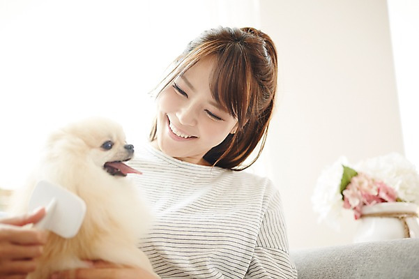 포토 JPG 한마리 우먼라이프 라이프스타일 응시 여자 안기 휴식 함께함 실내 한명 미소 들기 사람 동양인 상반신 20대 성인 앞모습 반려동물 한국인 강아지 소통 반려 안식처 애견빗 포메라니안 여자만 여자한명만 성인여자만 청년만 청년여자만 성인한명만 청년여자한명만 성인여자한명만 성인만 펫팸족 국내포토 동물 1 시선 뷰포인트 컨셉 모션 표정 인종 청년 내부 생활 개 애견용품 신조어 파일형식