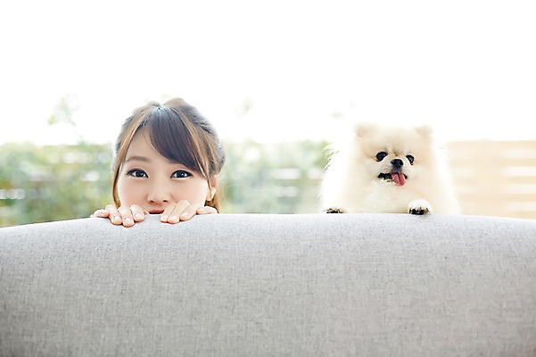 포토 JPG 한마리 우먼라이프 라이프스타일 손 여자 장난 함께함 실내 한명 사람 동양인 상반신 20대 성인 앞모습 신체부위 반려동물 소파 한국인 강아지 소통 반려 숨기 포메라니안 청년만 성인한명만 성인만 펫팸족 국내포토 동물 1 뷰포인트 컨셉 의자 모션 인종 청년 내부 생활 개 신조어 파일형식